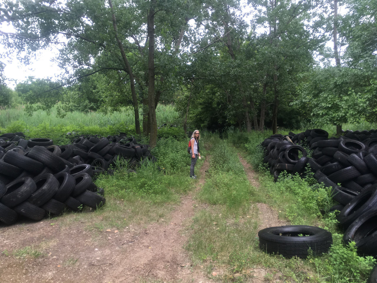 author in a field of tires