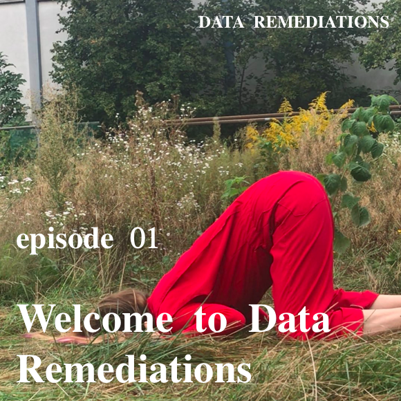 Data Remediations Podcast