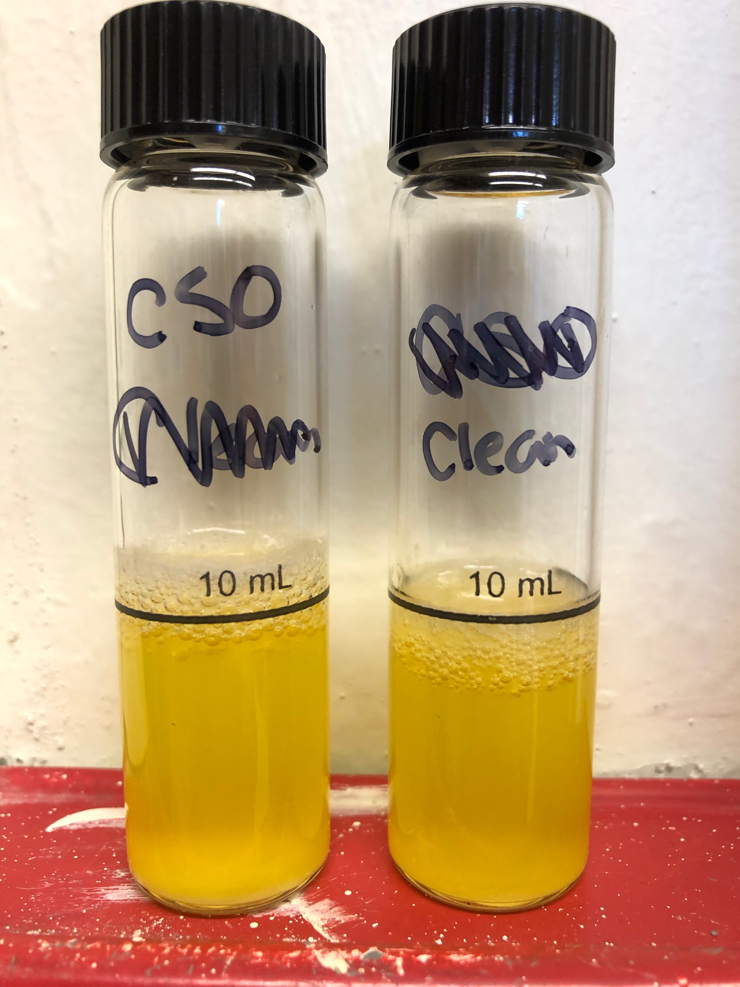 Combined sewer outflow (left) and upstream samples (right) both tested positive (yellow) for the presence and growth of fecal coliform bacteria. 
