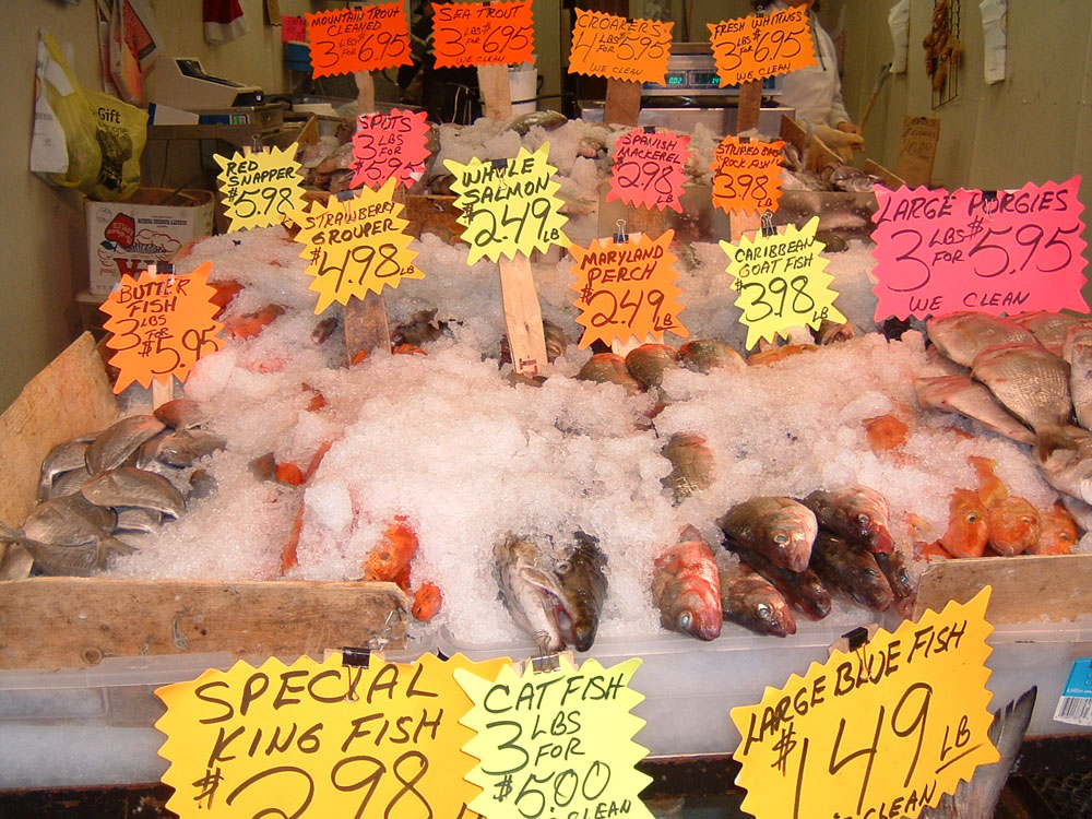 a market display of fish with piles of shaved ice and brightly colored price tags