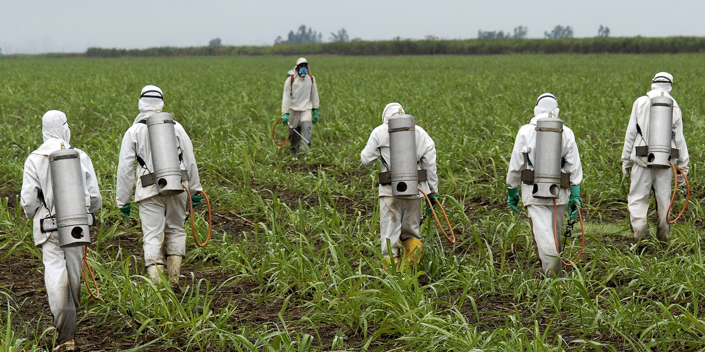 Chemical sprayers in a field
