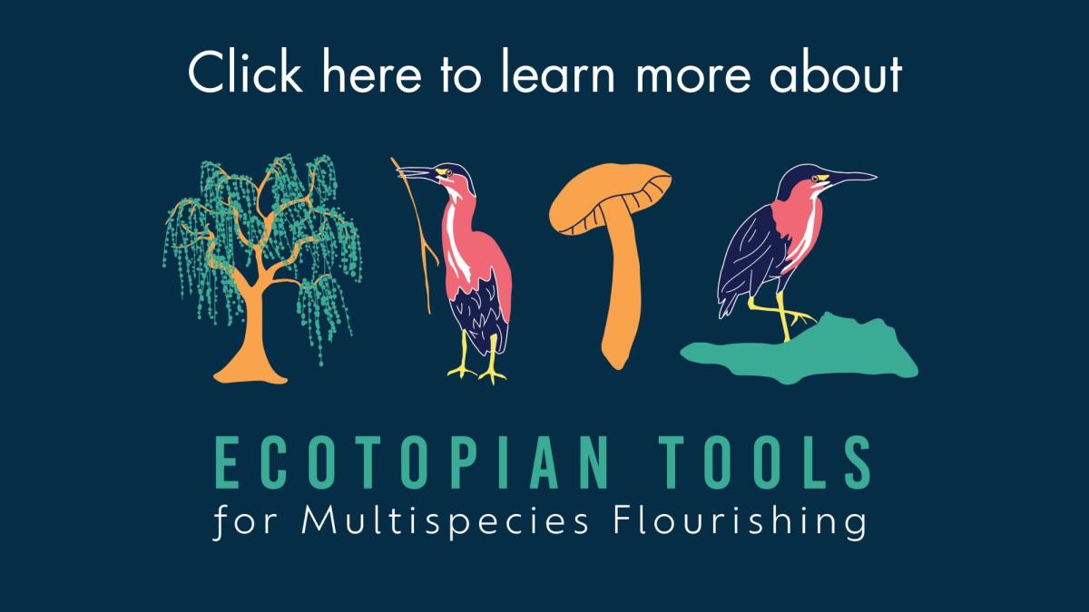 Text, "Ecotopian Tools for Multispecies Flourishing"